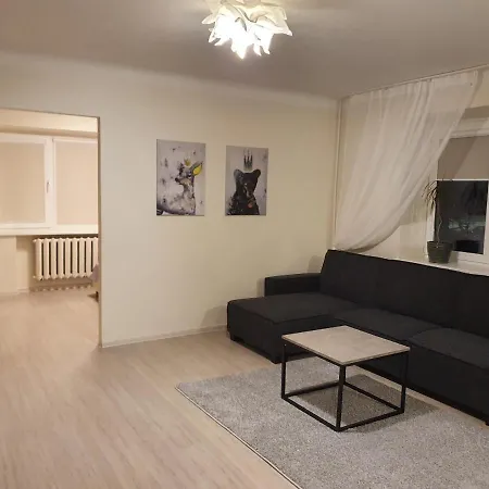 Cosy Apartment/good Location Apartment Kaunas