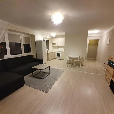 Cosy Apartment/good Location Kaunas